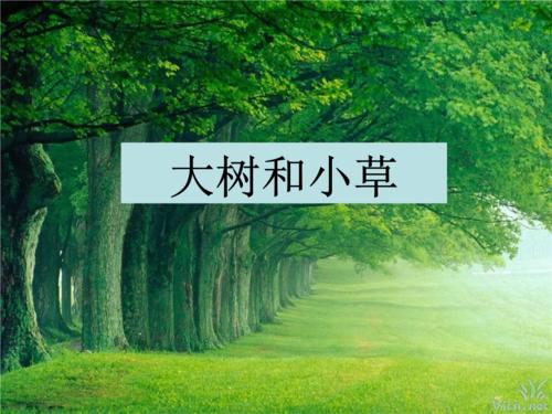 读“草和大树”_1000字