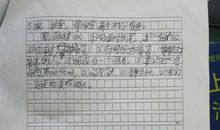 读《青铜葵花》 有感_550字