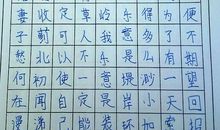我不期望回报_100字
