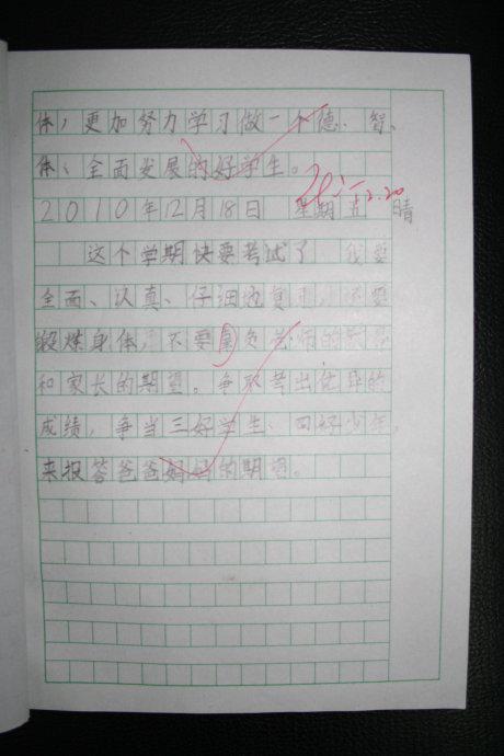四年级日记：特殊日_400字