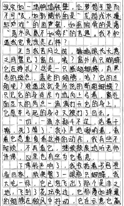 如何编写一个同情的组成组成_1000字
