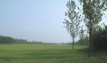 [梦想征文]待鱼跃此时海_450字