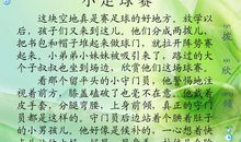 小足球赛_350字