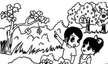 看图写话假文盲_400字