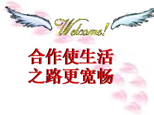 合作与竞争的魅力_3000字