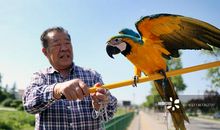 能说会道_3000字