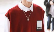 我的心儿怦怦跳_450字