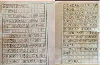 书信传爱心_450字