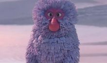 定格的琴弦_1200字