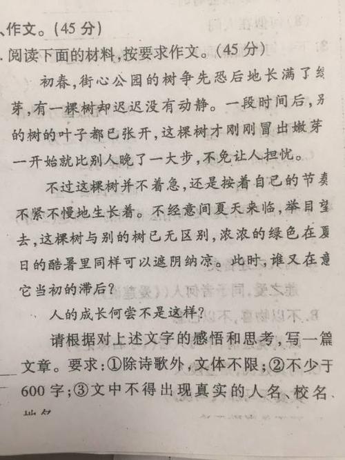 鸭子跑到路上_600字