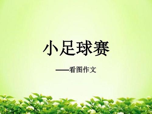 小足球比赛_400字