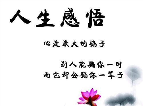 感觉生活_550字