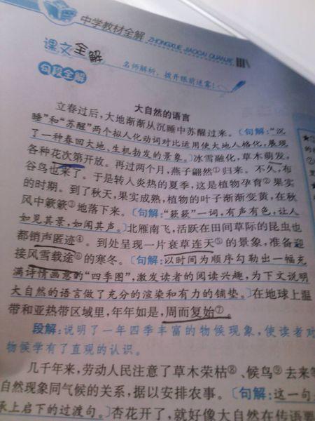 自然语言_350字
