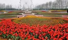 乡村的月景_400字