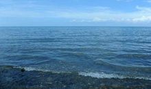 湖边的故事_800字