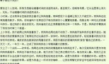 舌尖上的亲情_1000字