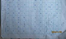 初二日记作文：小狗（七）_550字