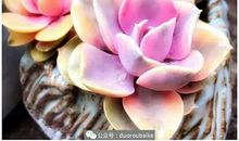 午夜雨声让我着迷_600字