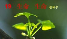 生命优美段落：珍惜生命段落_800字