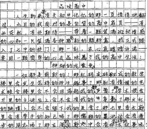 高级考试组成：第一个亲密接触_900字