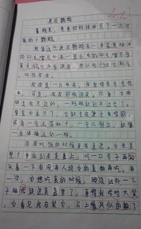 [梦想文章]我的梦想_300字