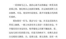 假如我有一匹马（5）_500字