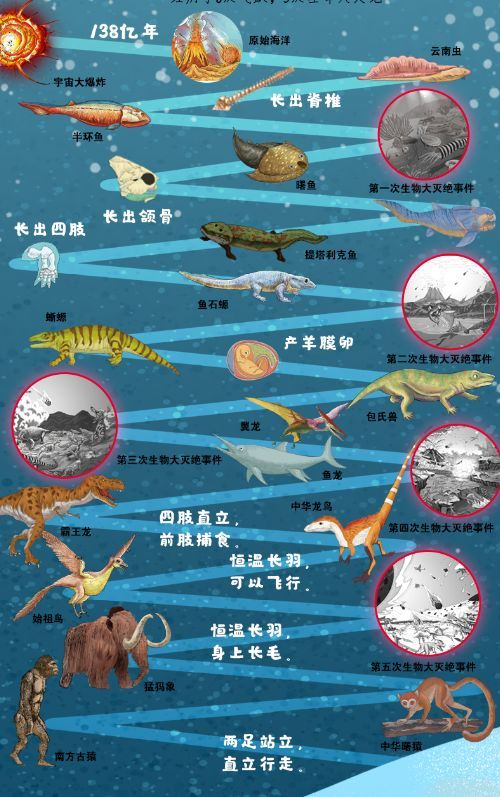 美丽的生活段落：生命的意义_500字
