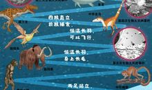 生命优美段落：生命的意义段落_500字