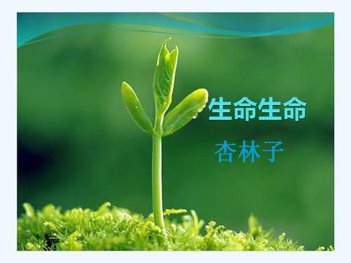 美丽的生活段落：负责生活_800字