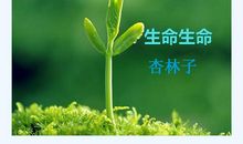 生命优美段落：对生命负责段落_800字