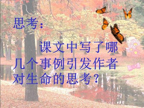 美丽的生活段落：生命的意义_700字