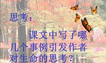 生命优美段落：生命的意义段落_700字