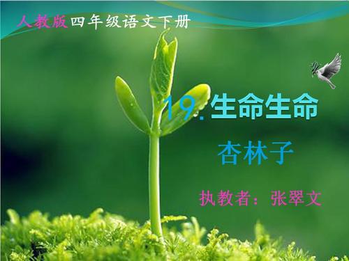 美丽的生活段落：生命的意义_750字