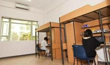 生命优美段落：关爱生命段落_750字