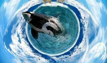 三十年后的地球_550字