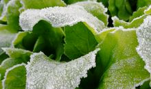 幸福的开关，不在于你拥有很多东西﹝2﹞_550字