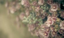 活着需要阳光_1200字