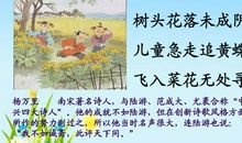《谁偷了我的时间》读后感_600字