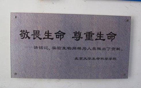 珍惜时间是生命的尊重_750字