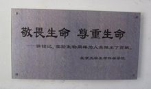 珍惜时间是对生命的尊重_750字