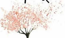 寂寞的陪伴_800字