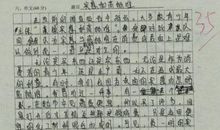 人与自然写作指导及例文_1200字