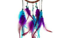 友情的礼物_1000字