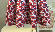 思念的蓬蓬裙_550字