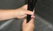 第一次洗碗_550字