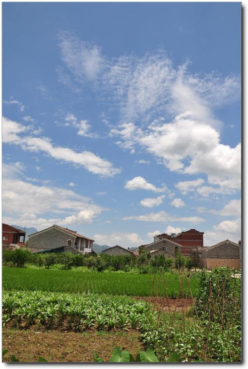 乡村风景_600字