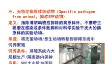 这颗榆木脑袋里一定有虫_800字