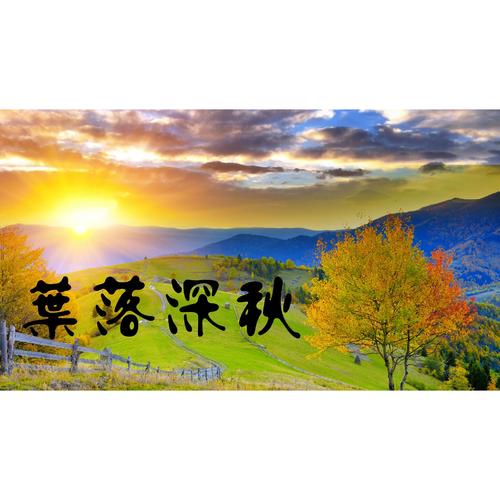 我喜欢深秋_550字