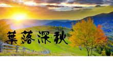 我喜欢深秋_550字