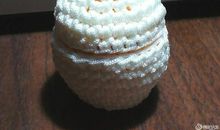 观察孵化小鸡_250字